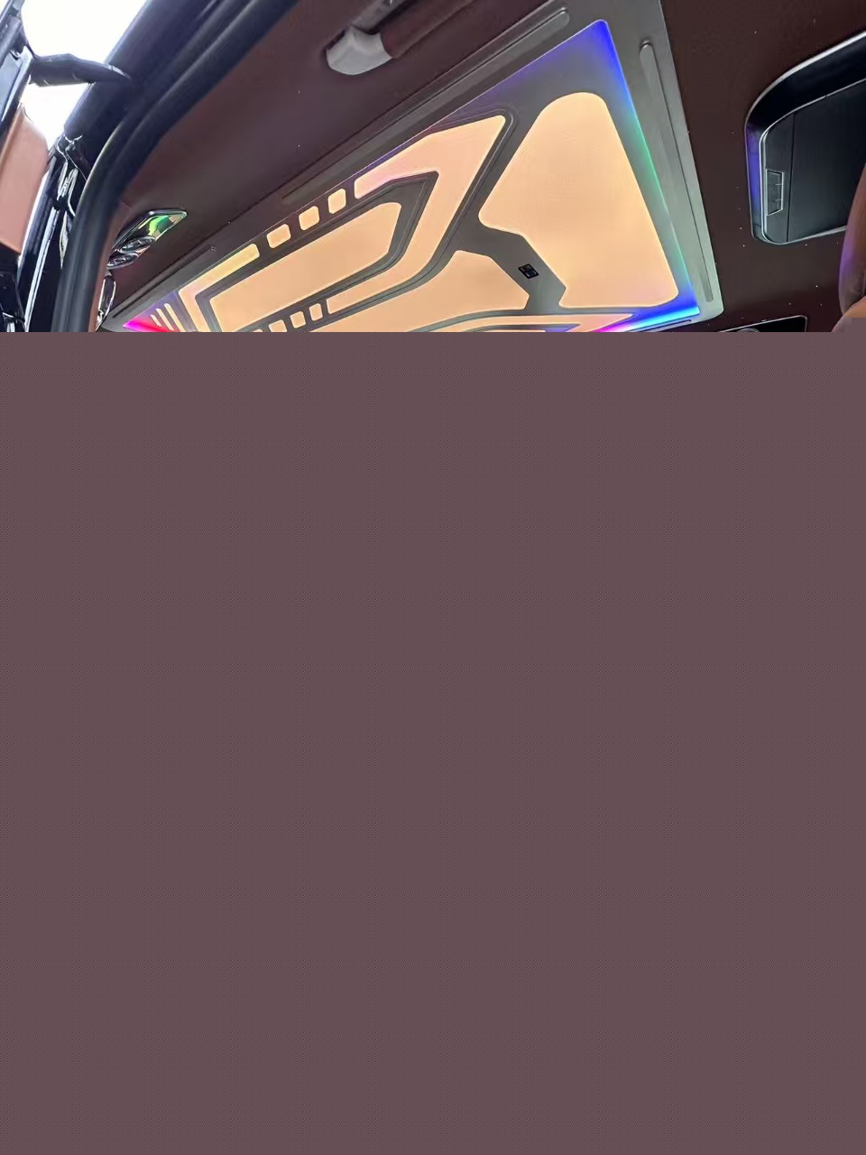 奢华尊驾：24 款奔驰威霆帷幕小高顶单门橙色内饰(图5)
