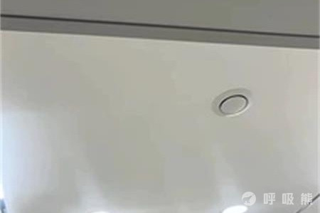 探索木材之家：挖掘绿色建材领域的无限商机(图1)