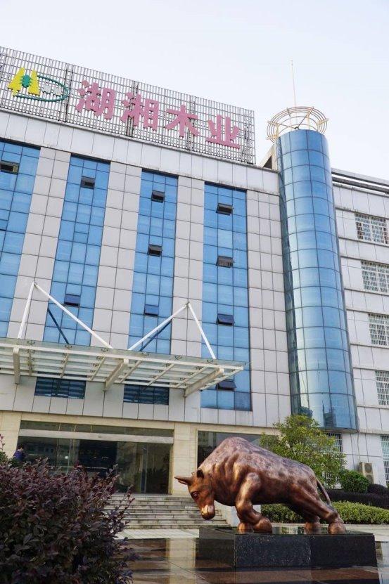 2025板材十大品牌排名揭晓：哪些品牌凭实力强势霸榜？(图1)