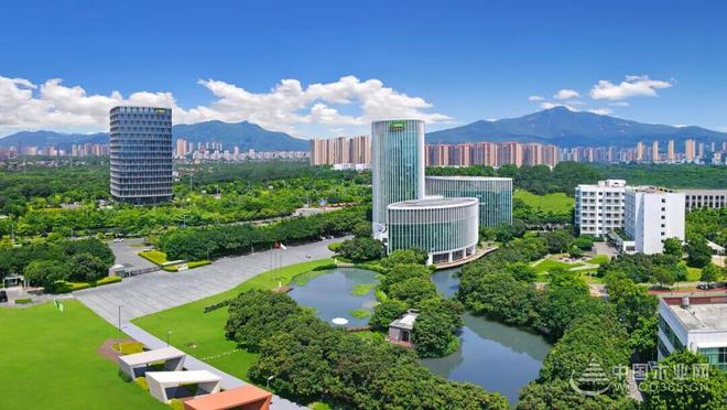 专访三棵树小森板林承亮：好漆好板重构美学空间 实现逆势突围(图3)